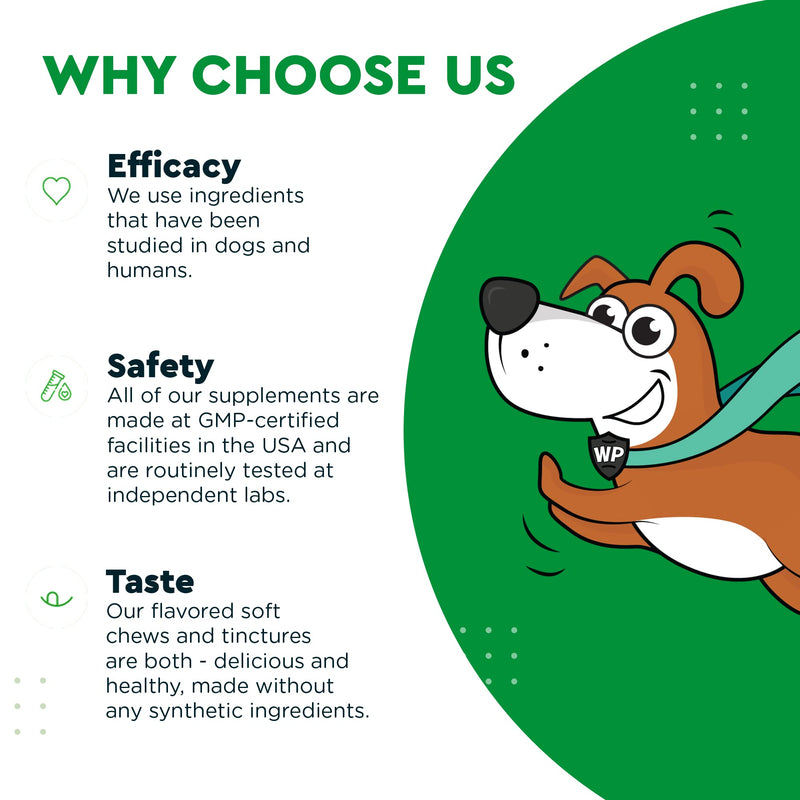 WONDER PAWS Grass Hero Soft Chews Plus Multivitamin Chews - for Dogs Urinary Tract Health, Lawn Care, Immune System Support & Daily Wellness - Grass Hero 60 Chews - Multivitamin 60 Chews