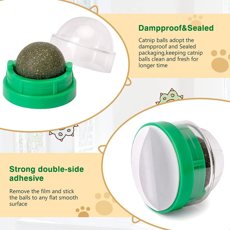 3 Pack Catnip Balls, Catnip Ball for Cats Wall, Edible Kitty Toys for Cats Lick, Safe Healthy Kitten Chew Toys, Teeth Cleaning Dental Cat Toys, Cat Wall Treats (Green) Green - BeesActive Australia