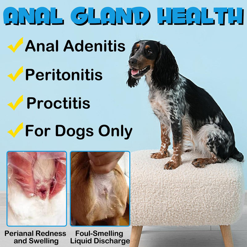 Anal Gland Soft Chew Treats with Pumpkin for Dogs，150 Count Digestive Enzymes, Probiotics Fiber Supplement for Dogs