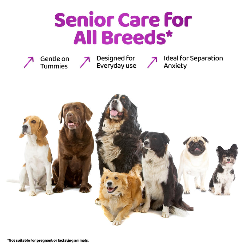 Liquid Supplement for Aging Dogs - Comprehensive Joint & Cognitive Support - Hip & Joint Care Supplements - Non-GMO & Vegan-Friendly-200ml