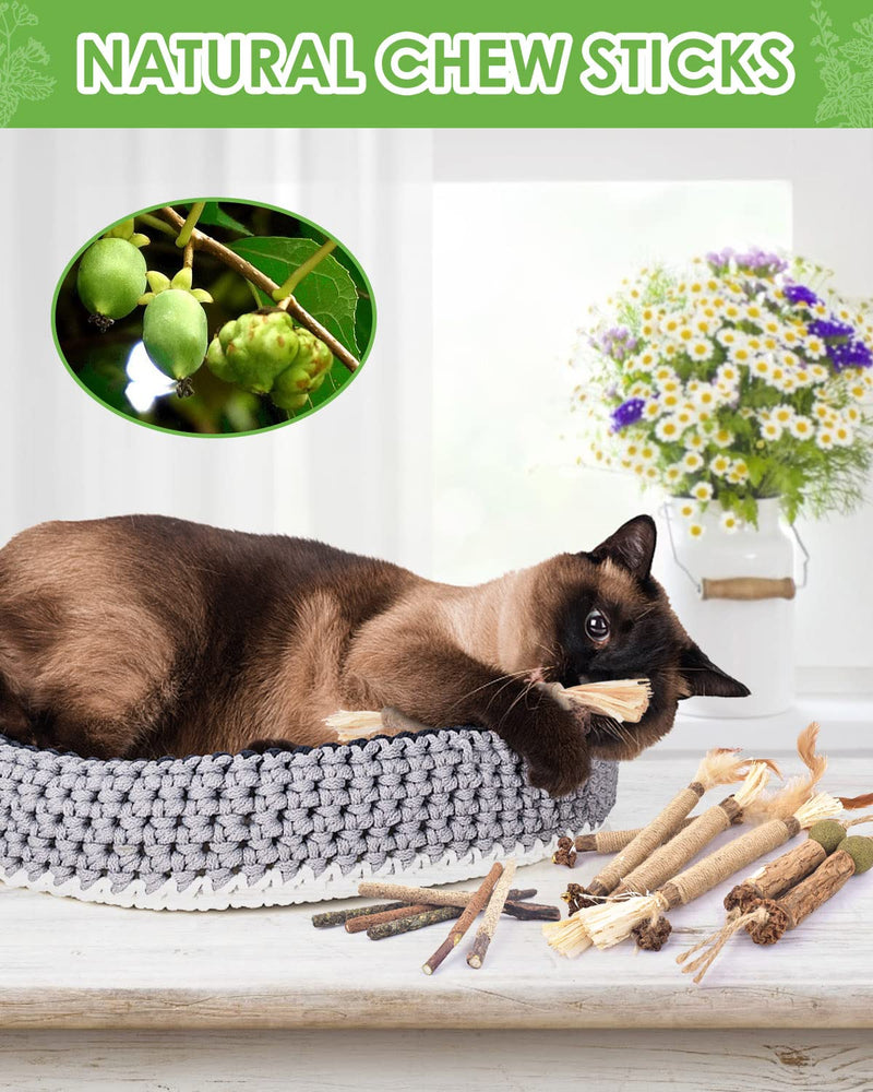 TINDTOP Catnip Chew Toys for Cats, 12 Pack Natural Silvervine Sticks for Kittens Teeth Cleaning, Matatabi Dental Care, Increase Appetite, Calm Cat Anxiety and Stress, Aggressive Chewers Cat Dental Toy - BeesActive Australia
