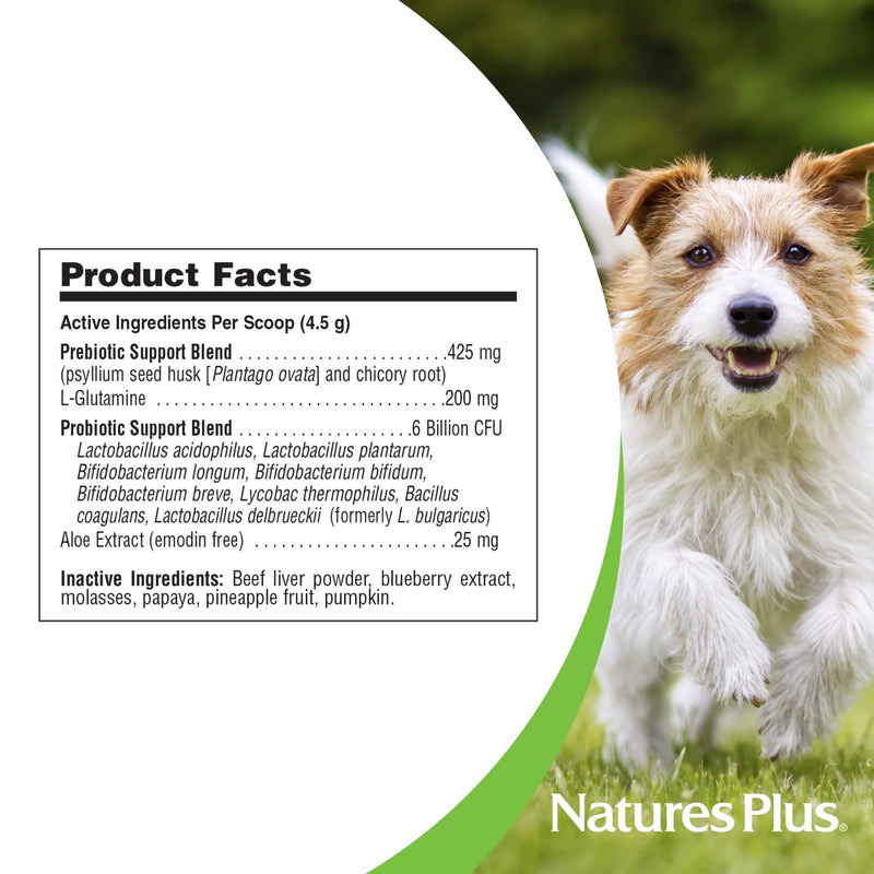 NaturesPlus FurBaby Probiotic for Dogs - 9.5 oz - Supports Digestive, Heart, Liver & Immune Health - 60 Servings