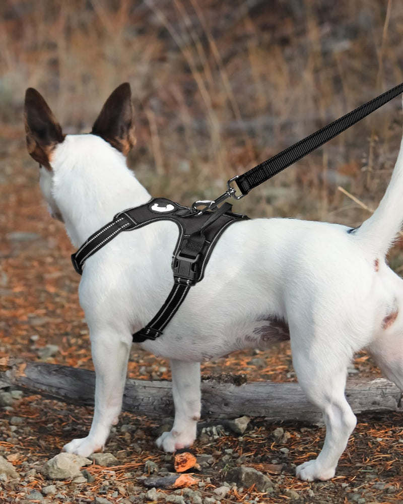 Joytale Double-Sided Reflective Dog Leash, 6 FT/5 FT/4 FT, Padded Handle Nylon Dogs Leashes for Medium & Large Dogs Walking, Black, 6FT 6 ft Standard - BeesActive Australia