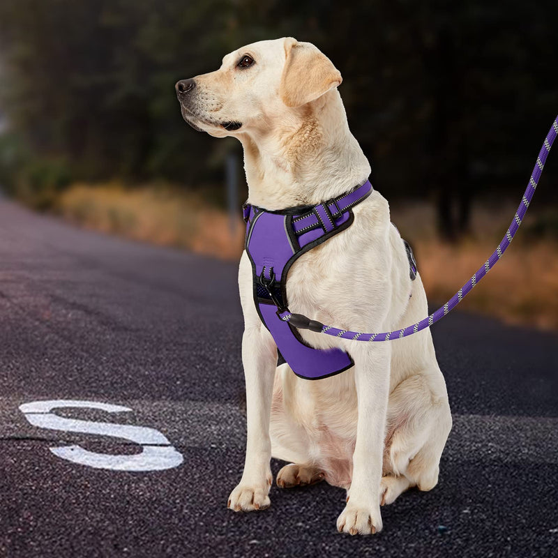 IVY&LANE No Pull Dog Harness for Medium Dogs, Dog Vest Harness with Leash, Safety Belt and Storage Strap, Fully Adjustable Harness, 360° Reflective Strip, Soft Handle (Purple, M) Purple - BeesActive Australia
