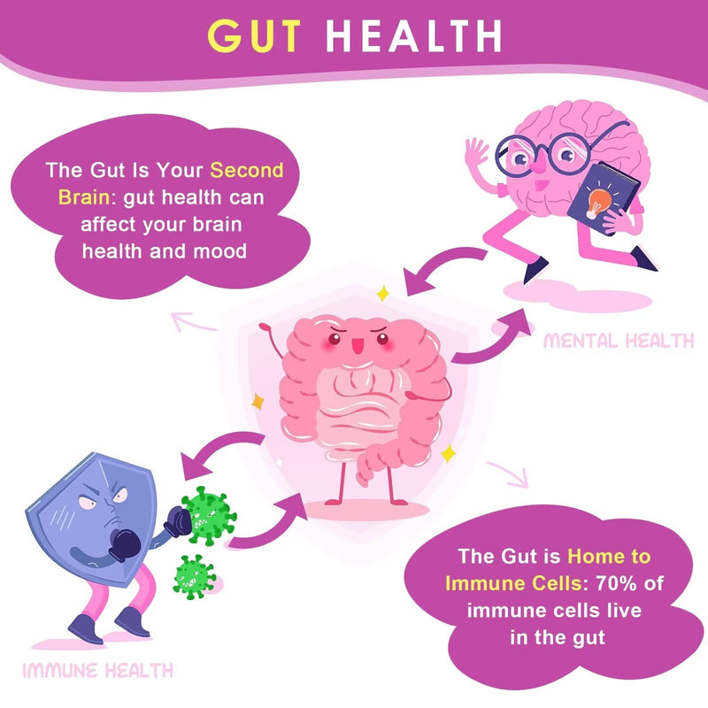 ZEBORA Probiotics for Women Digestive Health, 60 Billion CFU, 90 Tablets | Prebiotics and Probiotics for Immune Support and Gut Health, Gluten and Soy Free, Supports Healthy Digestion