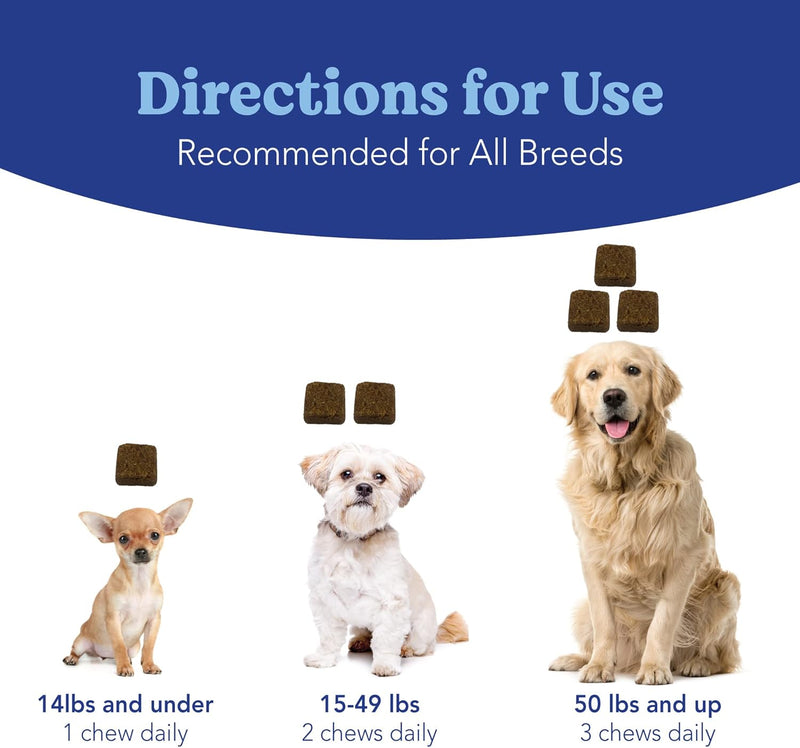 Angels’ Eyes Natural Tear Stain Prevention Soft Chews for Dogs | Chicken Flavor| For All Breeds | No Wheat No Corn | Daily Supplement | Proprietary Formula 120 count - BeesActive Australia