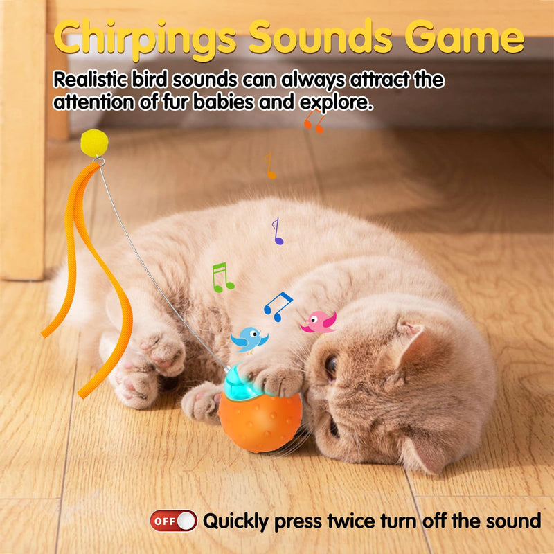 Interactive Cat Toys Balls, Automatic Moving Cat Toys for Indoor Cats, Self Rotating Ball with Motion Activated, Electric Cat Mouse Toys, USB Rechargeable - BeesActive Australia
