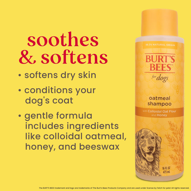 Burt's Bees for Pets Oatmeal Dog Shampoo - With Colloidal Oat Flour & Honey - Moisturizing & Nourishing, Cruelty Free, Formulated without Sulfates and Parabens, Made in USA, 16 Oz Unscented 16 Fl Oz (Pack of 1) - BeesActive Australia