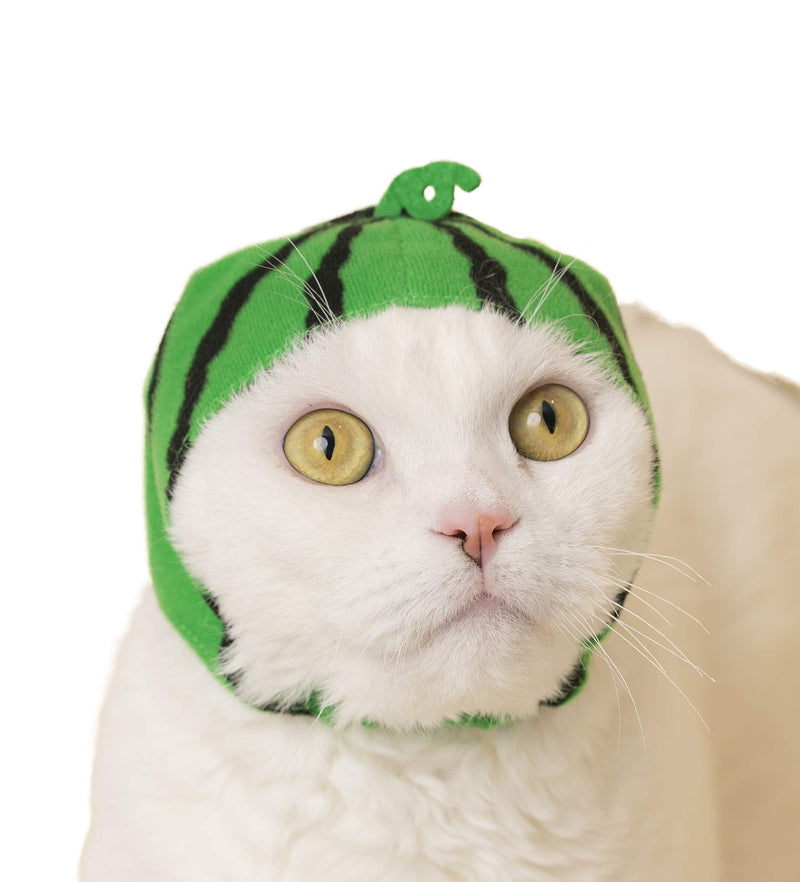 Kitan Club Cat Cap - Pet Hat Blind Box Includes 1 of 6 Cute Styles - Soft, Comfortable - Authentic Japanese Kawaii Design - Animal-Safe Materials, Premium Quality (Fruit) - BeesActive Australia
