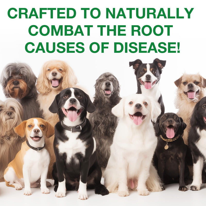 Dog Antibiotics, Natural Antibiotics for Dogs, Dog Multivitamin Herbal Supplements, Support Allergy and Itch Relief, Bacon Flavor - 60ml / 2.02 fl oz