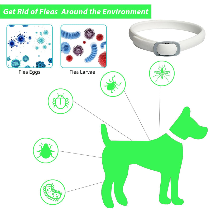 Pets4Luv Flea and Tick Collar for Dogs, Flea Collar for Dogs, 24 Months Protection, One Size for All Dogs, Adjustable and Waterproof, Pack of 3 - BeesActive Australia