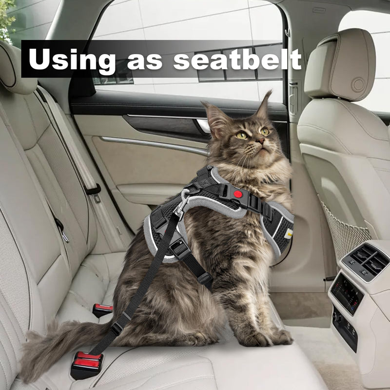 Cat Harness and Leash for Walking, Retractable Cat Harnesses and Leash Set Escape Proof, Breathable Soft Kitten Harness Small Large Cat Harness for Travel Training and Walking, Black, S S(chest:11.1"-18.1") - BeesActive Australia