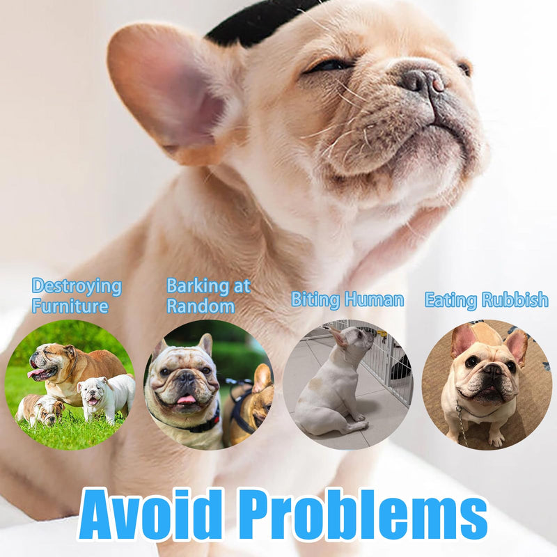 French Bulldog Muzzle Muzzle for Dogs with Flattened Mask for Dogs with Short Snout Dog Muzzle with Short Snout Muzzle Small Dogs Anti Biting Chewing Barking - BeesActive Australia