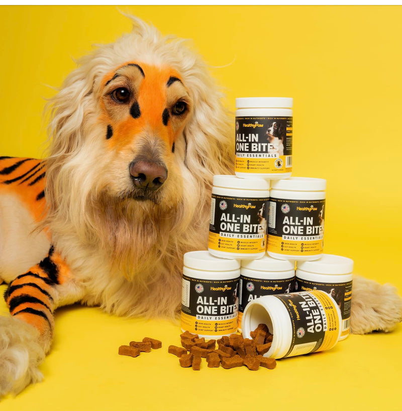 All-in-one Multifunctional Supplements for Dogs * Glucosamine for Joint Support * Immune Health *Antioxidants * Anti-inflammatory *Heart Health *Skin and Coat Health - PawsPlanet Australia