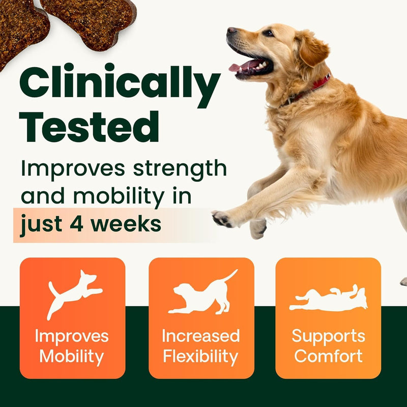 VetriScience Ultimate Strength Healthy Hip & Joint Chews, GlycoFlex Glucosamine, Chondroitin and Green-Lipped Mussel Joint Supplement for Small Breed Dogs, Soothe Joint Discomfort, Duck, 60 Count Small Breed - Ultimate Strength