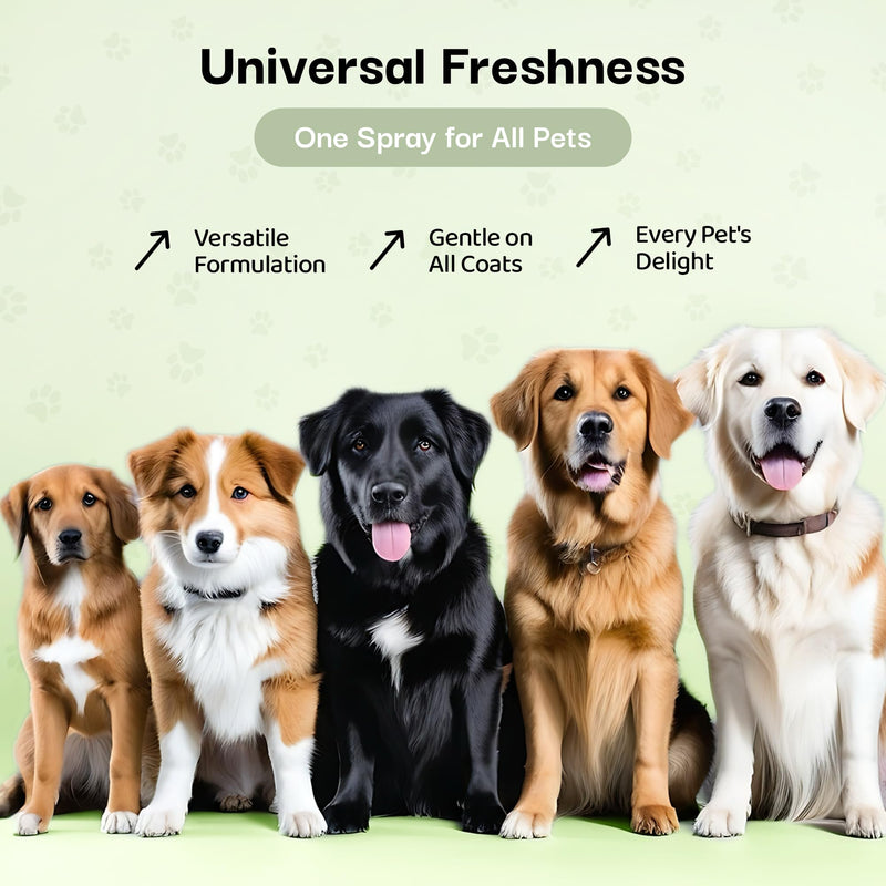 605Products | Premium Lavender Dog Cologne and Odor Eliminator - Long Lasting Dog Perfume Made with Essential Oils - Spray Deodorant for Smelly Dogs, Dog Grooming Spray (Lavender) 2 Fl Oz (Pack of 1) - BeesActive Australia