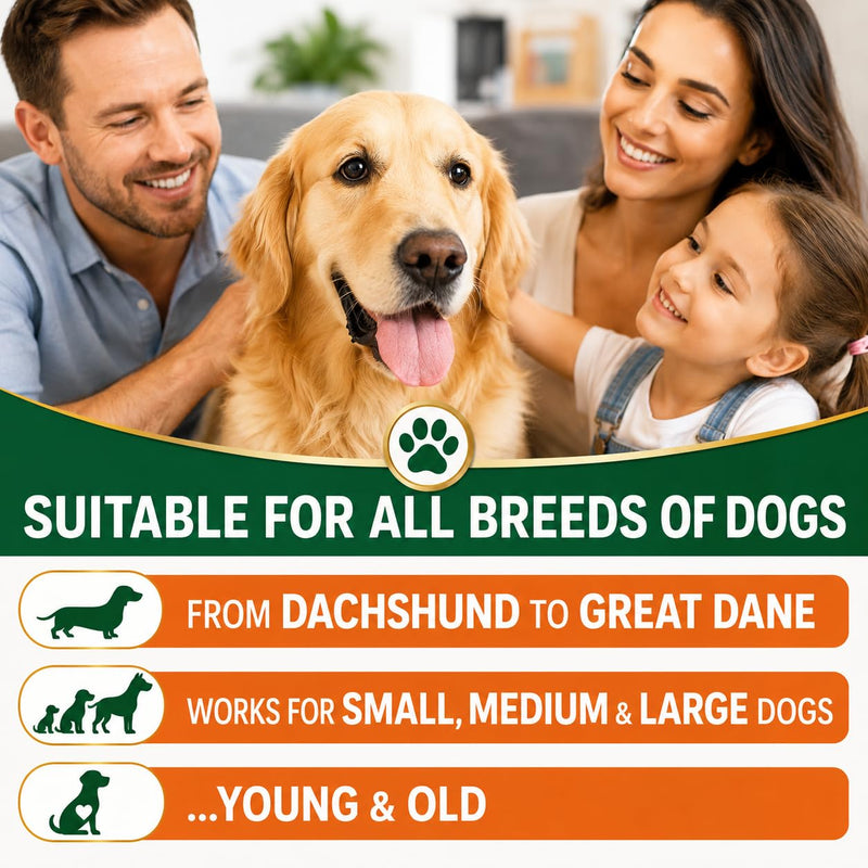 Joint Supplements for Dogs, 800mg Glucosamine, 800mg Chondroitin, 800mg MSM with Added Turmeric and Green Lipped Mussels (100g) 100 Scoop