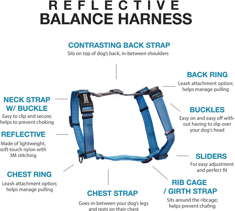 Blue-9 Reflective Buckle-Neck Balance Harness, Fully Customizable Fit No-Pull Harness with 3M Reflective Stitching, Ideal for Dog Training and Obedience, Made in The USA, Blue, Medium/Large M/L (Ribcage: 24"-35.5") - BeesActive Australia