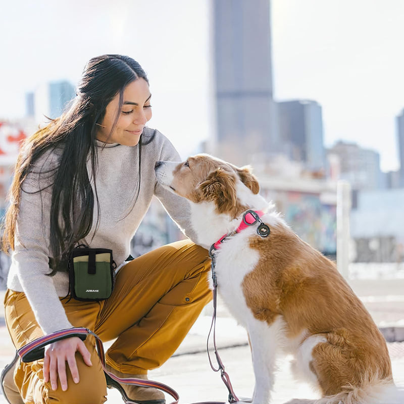 Dog Treat Pouch, Dog Training Treat Pouch with Clicker, 3 Ways to Wear Dog Training Treat Bag Pouch with Built-in Poop Bag Dispenser, Treat Pouches for Pet Training - BeesActive Australia