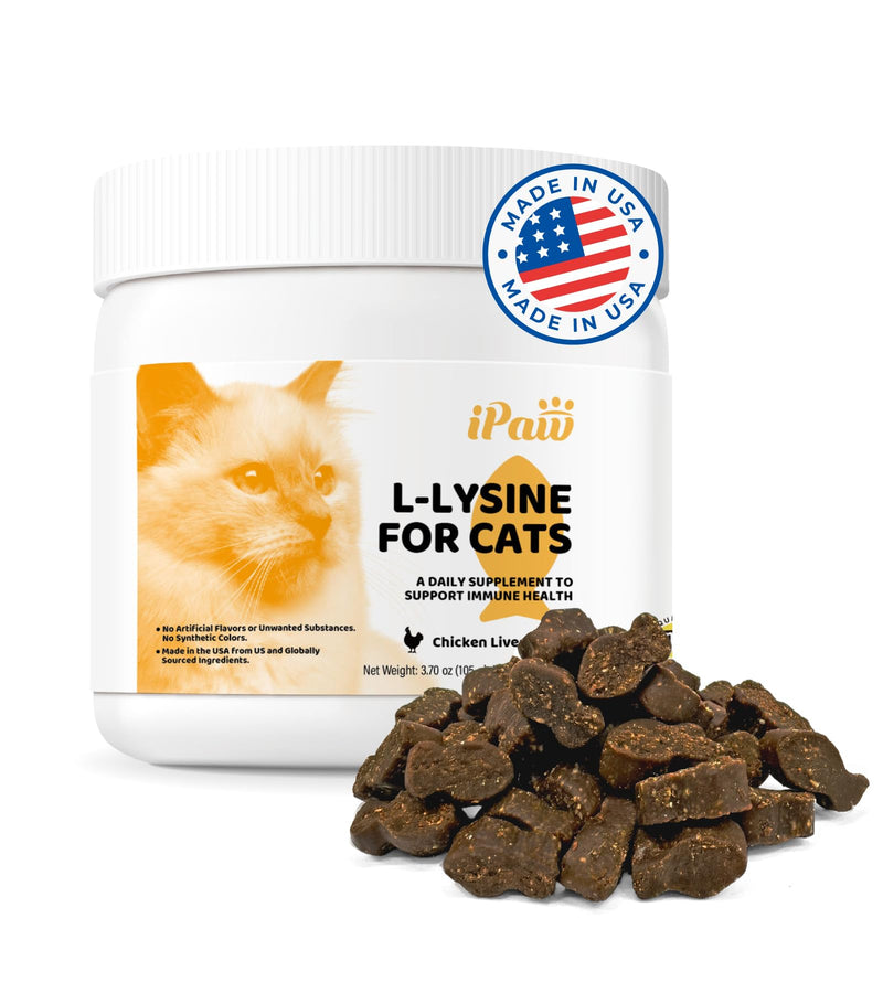 iPaw L-Lysine Chews for Cats, Daily Immune and Respiratory Support for Cats, Lysine Treats Supplement, Made in USA, Chicken Liver Flavor (70 Chews) 1 Jar