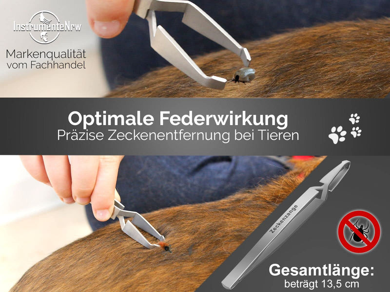 Tick tweezers for animals, dogs, cats and other pets made of stainless steel - BeesActive Australia