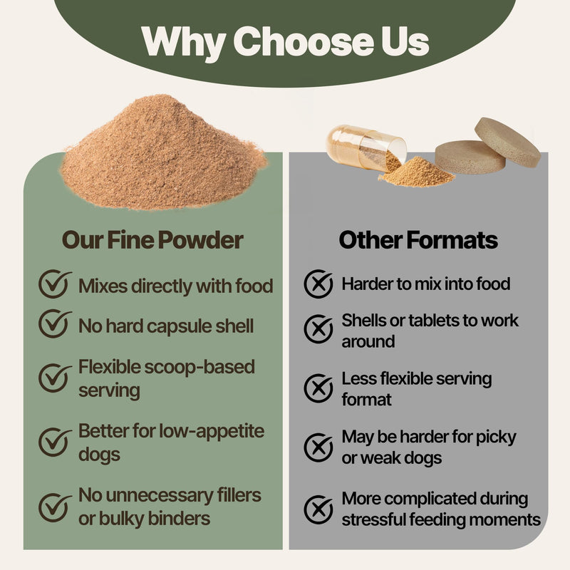 Yunnan Sanqi Powder for Dogs, Natural Herbal Blood Support for Hemangiosarcoma, Hemoabdomen, Pericardial Effusion, Ulcer-Related Bleeding, Bloody Stools, Recovery Support, Quick Stop Bleeding for Dog