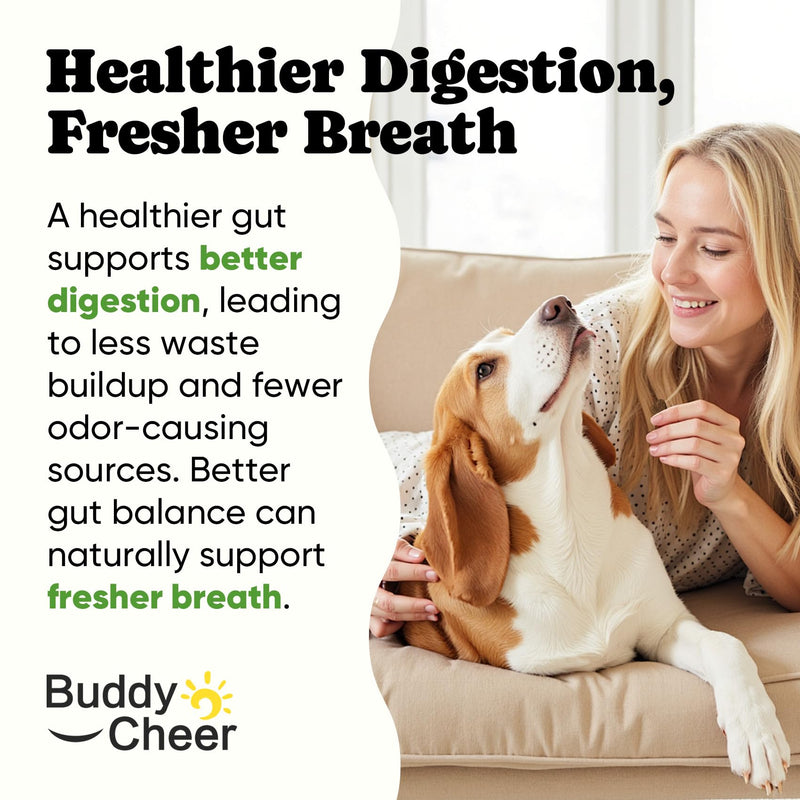 Probiotics for Dogs – Helps Digestion, Loose Stools, Gas & Sensitive Stomachs, Probiotics for Itchy Skin & Dog Yeast Infection, Immune & Fresher Breath with 4 Prebiotics & 5 Digestive Enzymes – 180 ct Chews-180 ct