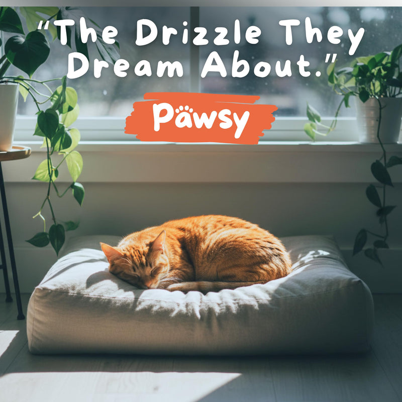 PAWSY Scottish Salmon Oil for Cats 500ml – Omega 3, 6 & 9 for Skin and Coat – Natural EPA and DHA – Supports Healthy Skin, Glossy Fur and Joint Comfort – Tasty Drizzle Cats Love (500ml)