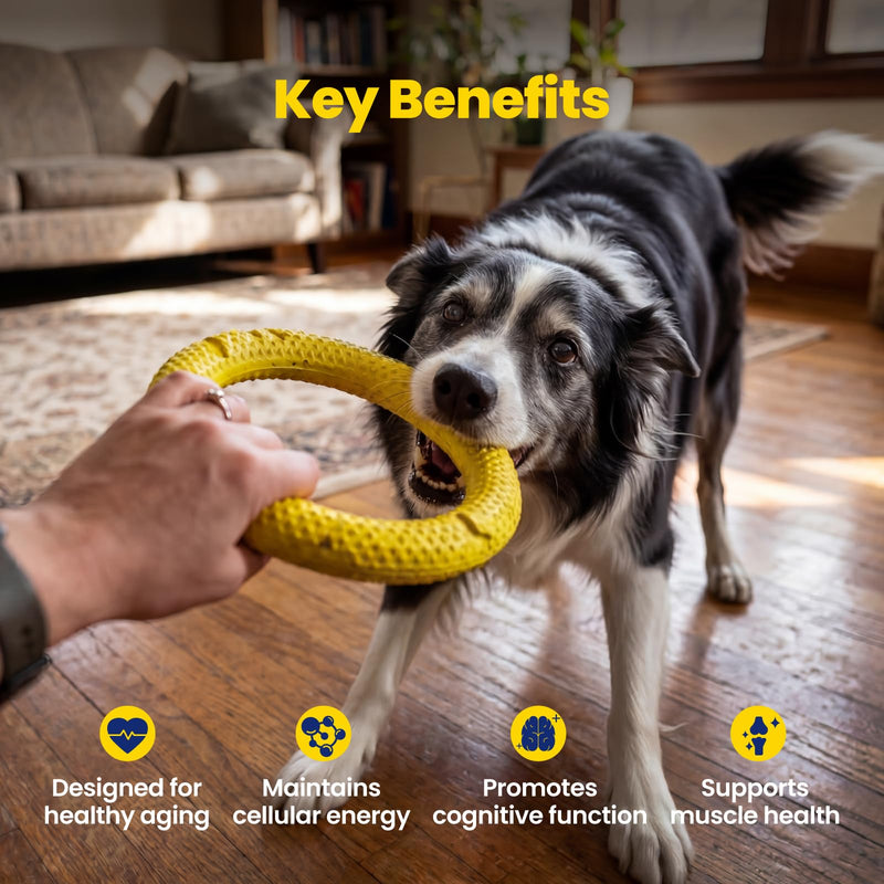 NAD+ Precursor & Senior Dog Supplement - 90 Soft Chews - NMN Alternative for Longevity & Healthy Aging - Nicotinamide Riboside, Resveratrol, Quercetin, Made with Pasture-Raised Chicken Peanut Butter & Chicken