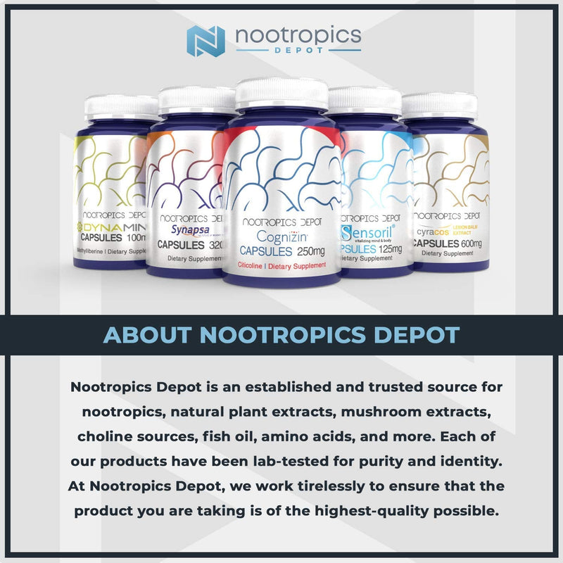 Nootropics Depot Quercetin Tablets | 500mg | 60 Count | 95% Anhydrous Quercetin 1 Count (Pack of 60)