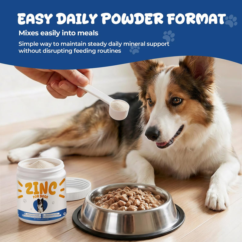 Zinc Supplement for Dogs, Skin & Coat Support, Vitamin E & Biotin Powder | Daily Zinc Powder with Vitamin E, Selenium & Biotin Supports Skin, Coat, Immune Wellness & Daily Mineral Support, 60 g
