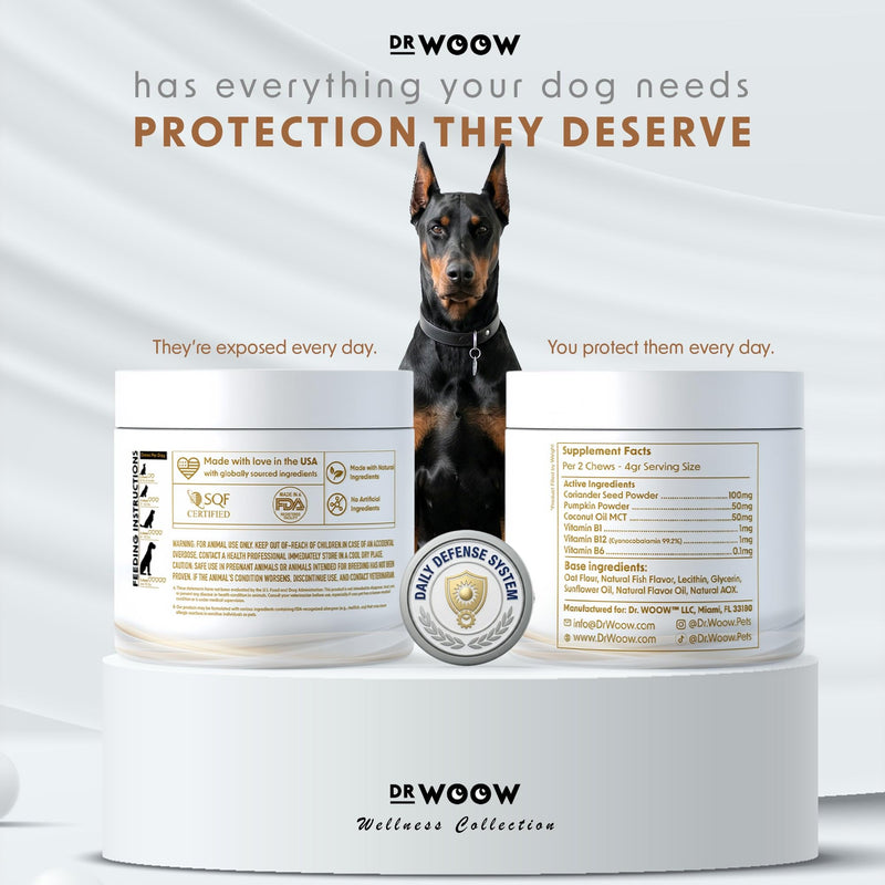 Dog Flea & Tick Prevention Chews – Daily Defense Supplement for Parasites, Gut & Immune Support – Natural Formula Soft Chews – Made in USA – Dr. Woow (120 Ct) Flea & Tick Relief