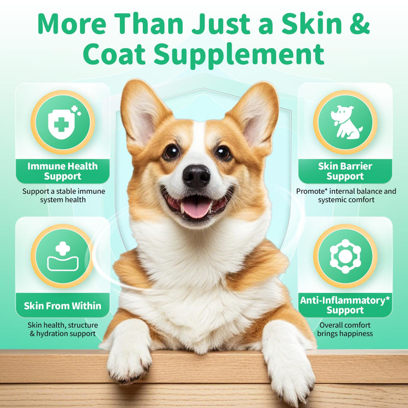 Allergy & Immune Supplement for Dogs - Omega 3-6-9 Liquid Drops for Seasonal Allergy Support, Skin Itch Relief, Less Shedding, Coat Health - with Biotin, Turmeric - Chicken Flavor - 2 FL.OZ