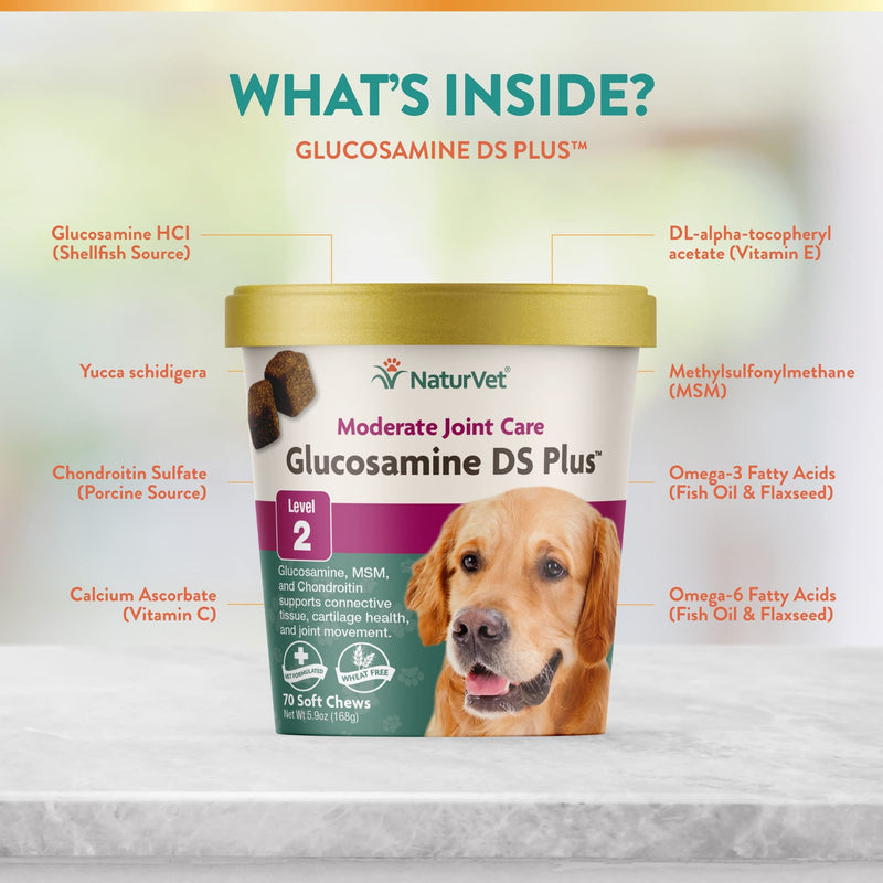 NaturVet – Glucosamine DS Plus - Level 2 Moderate Care – Supports Healthy Hip & Joint Function – 70 Soft Chews & Advanced Probiotics and Enzymes Supplement, Plus Vet Strength Probiotic 70 Soft Chews