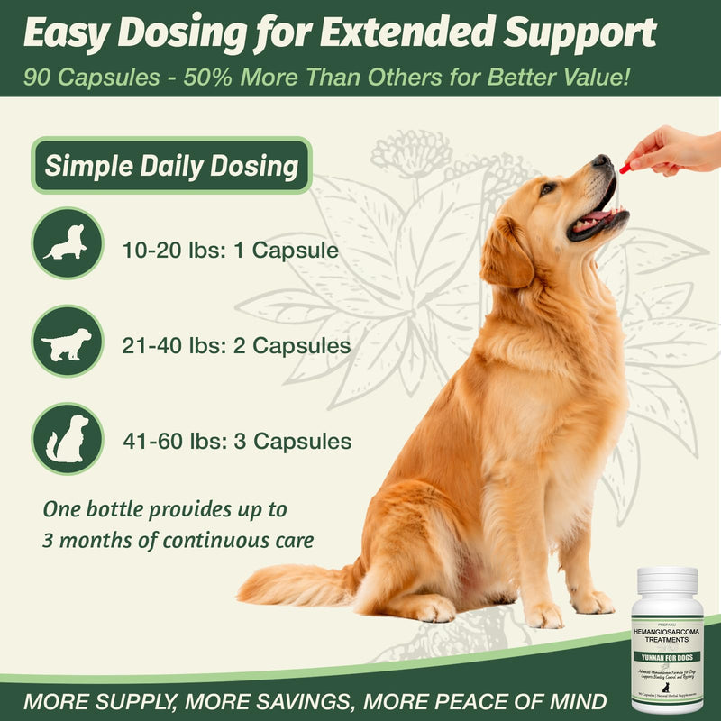 Quick Stop Bleeding for Dogs, Natural Yunnan Sanqi Capsules for Hemangiosarcoma, Hemoabdomen, Pericardial Effusion, Cancer Bleeding, Severe Bruising, Ulcer-Related Bleeding, Bloody Stools-90 Capsules