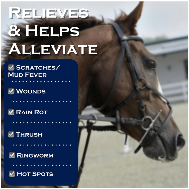 Show Out Skin & Scratches 4 oz Concentrate - Fast Relief and Prevention for Horse Care. Use on Equine Scratches/Mud Fever, Girth Itch, Mange, Thrush, Rain Rot, Ringworm, etc w/Empty Spray Bottle 32 fl oz - PawsPlanet Australia