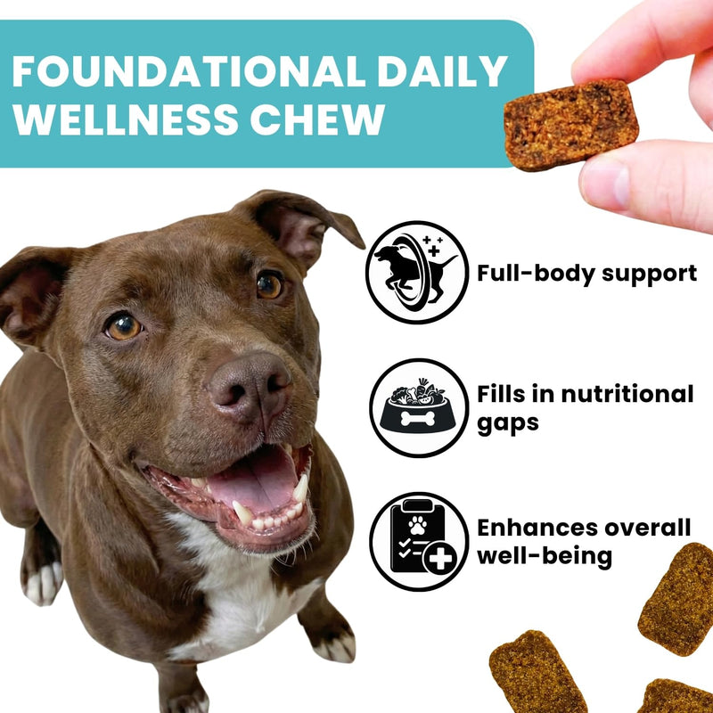 Multivitamin for Dogs - 25-in-1 Daily Dog Vitamins Soft Chews with Essential Vitamins & Minerals - Immune, Skin, Joint, Heart & Digestive Support for All Breeds & Ages, 60 Count