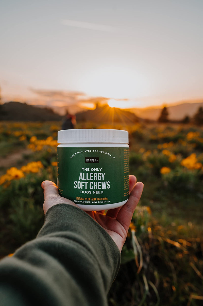 Natural Rapport Dog Allergy Supplement - The Only Allergy Soft Chews Dogs Need - 120ct Treats That Contain Kelp and Bee Pollen for Allergy and Itch Relief Allergy Chew - PawsPlanet Australia