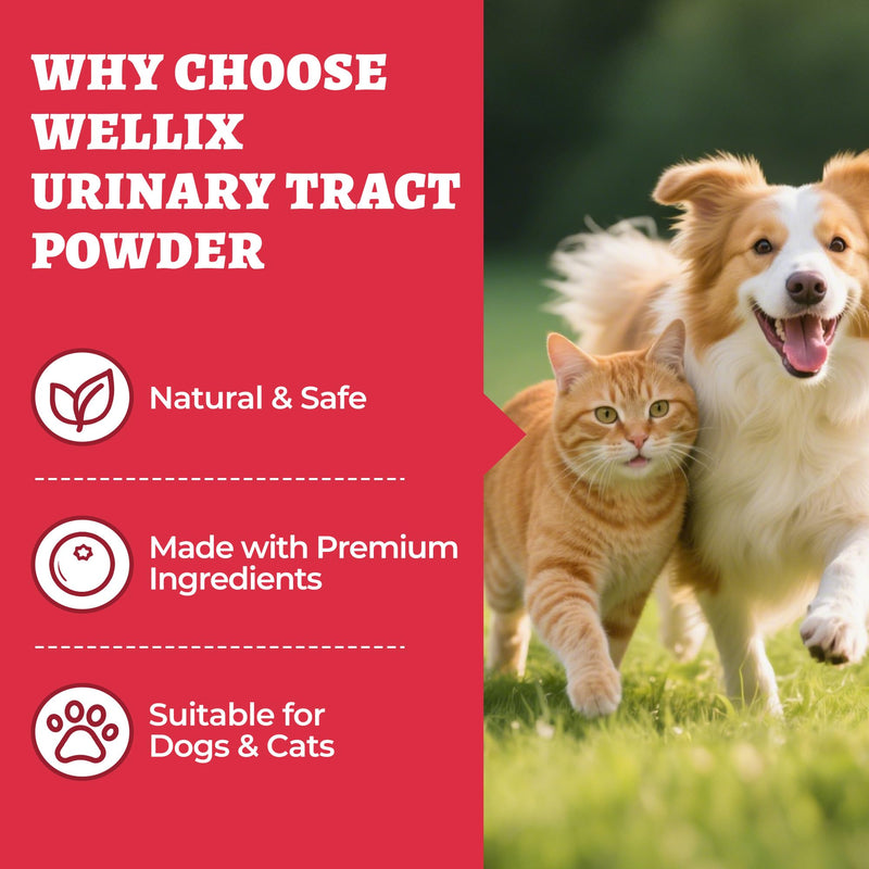 Wellix 8.8oz Large Dog and Cat Urinary Supplement - Rich in Omega-3,Cranberry for Cat UTI Treatment -Urinary Tract Podwer for Bladder & Kidney Support - Mixing with Dog&Cat Food Topper