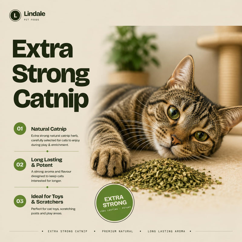 Extra Strong Catnip Herb 50g – Premium Natural Catnip for Cats – Long Lasting & Potent – by Lindale Pet Foods