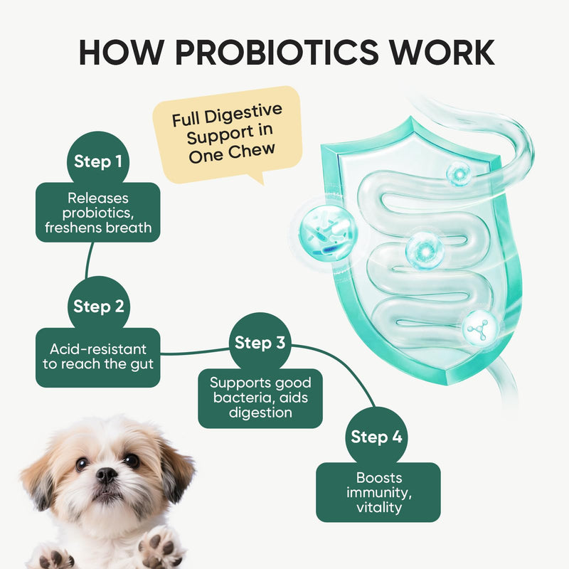 Probiotics for Dogs Gut Digestive Health Probiotic Chews for Dogs Digestive Enzymes Relieve Diarrhea Immunity Oral Problems Itching Constipation Prebiotics Dog Probiotics 200 Ct Chicken