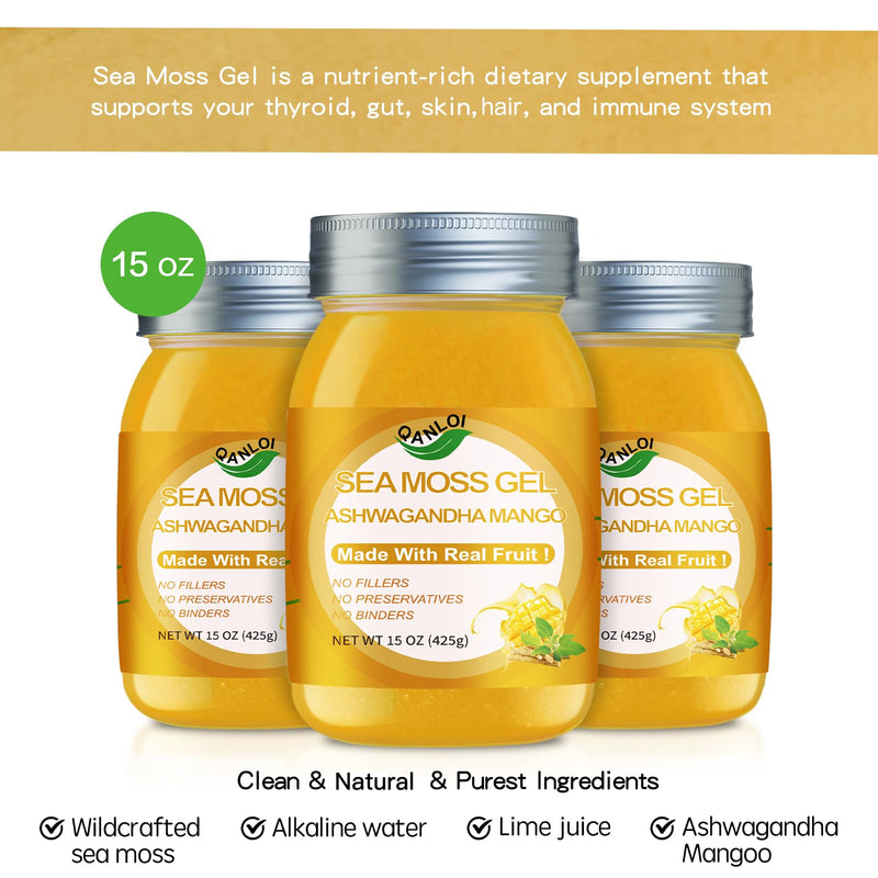 Seamoss Gel, Seamoss with Irish Sea Moss, Ashwagandha Mango, 15OZ | Sea Moss Supplement, Immune Support, Sea Moss Advanced 15 Ounce (Pack of 1)