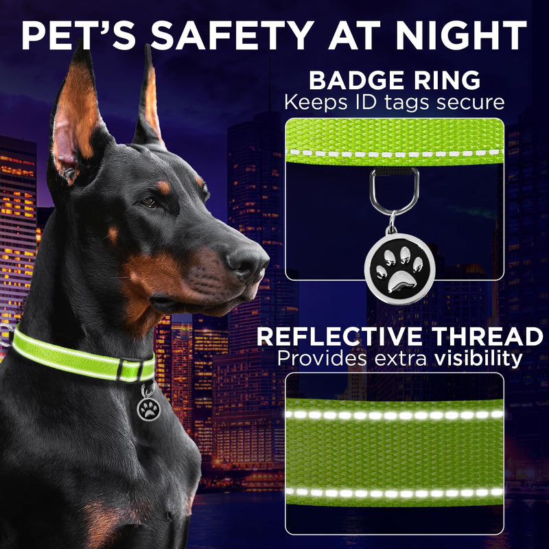 TECEUM Reflective Pet Collar – Acid Green – S – Extra Soft Padding – Basic Nylon Dog Collar – Quick Release Buckle – Fits Small, Medium and Large Dogs, Puppies, Cats – ESA & Service Dog Options - BeesActive Australia