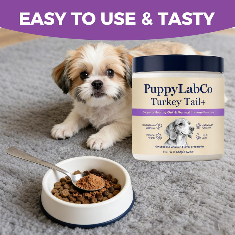 Puppy Lab Co Turkey Tail, PuppyLabCo Turkey Tail Mushroom for Dogs, Turkeytail Mushroom + Probiotics Powder Supplement, Chicken Flavor, Gut & Immune Supports, 100g (1) 1