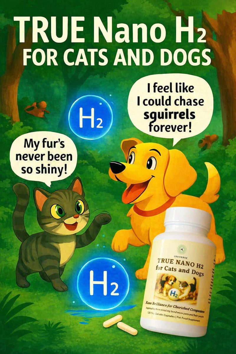 for Cats & Dogs – Advanced Molecular Hydrogen Supplement for Cellular Health, Vitality & Recovery – 120 Capsules