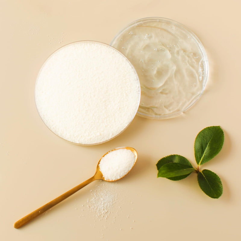 PURE ORIGINAL INGREDIENTS Hyaluronic Acid, Water Soluble, Fine Powder (4 Ounce) 4 Ounce (Pack of 1) - BeesActive Australia