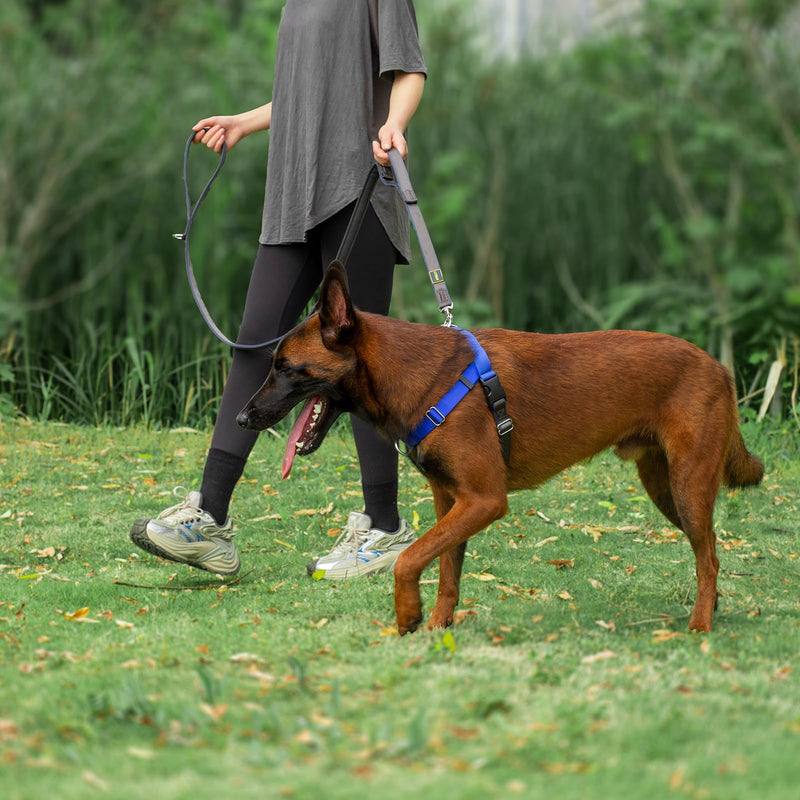 Anti Pull Dog Harness Freedom Walking, Stop Pulling with Two Stainless D-Rings, Comfortable & Lifhtweight, Sewn-in Instructions Labels for Easy Use (Blue, Large) Blue - BeesActive Australia