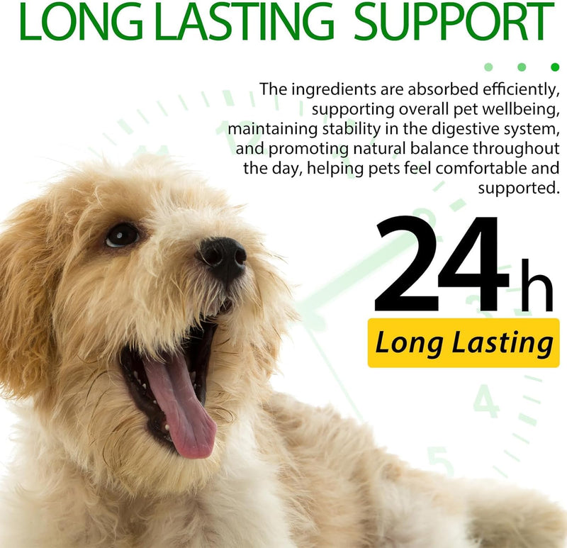 Antibiotics for Dogs, Dogs Antibiotics, Natural Formula for Dog, Supports Immune Health, Itch Relief, Allergy Relief & More, Dog Multivitamins, Bacon Flavor 60ml