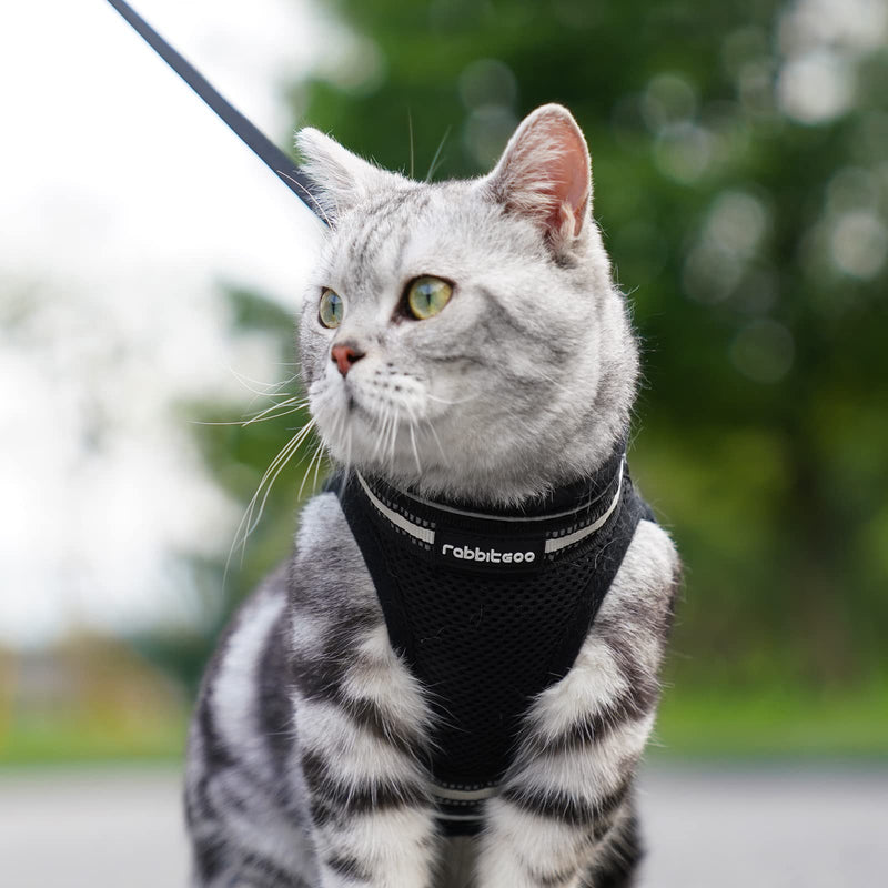 rabbitgoo Cat Harness with Lead, Escape-Proof Cat Lead with Harness, Cat Harness, Kitten Adjustable Soft Kitten Vest with Reflective Strips for Small Cats, Black M M (Pack of 1) - BeesActive Australia