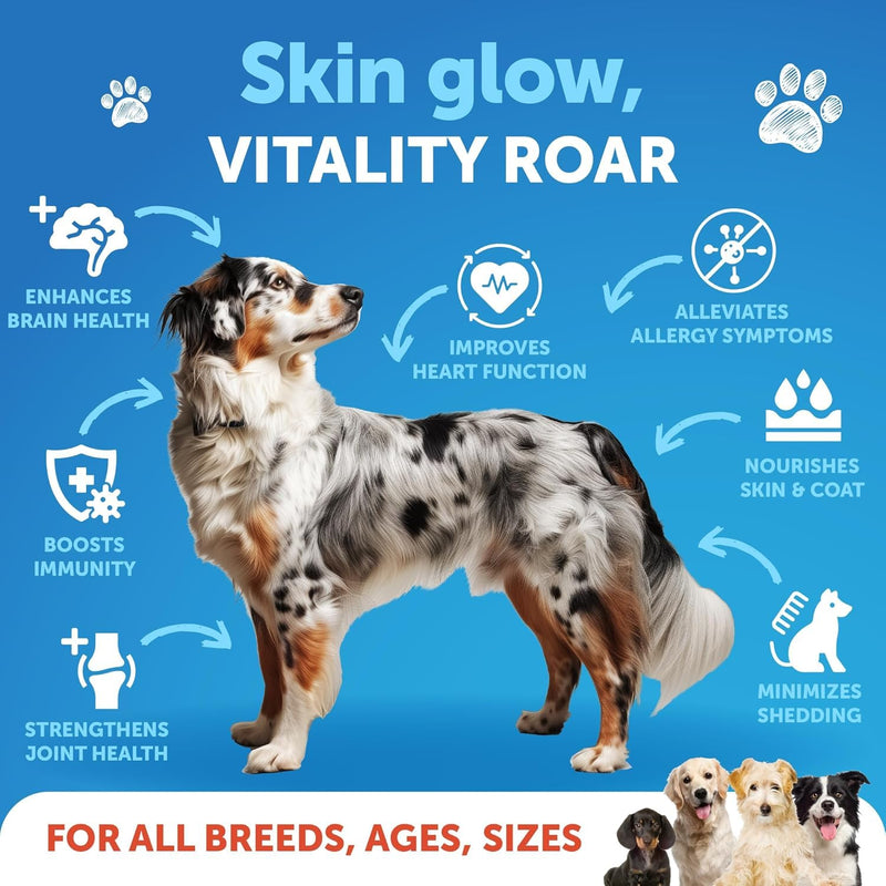 Dog Probiotic Chews + Salmon Oil Bundle - Probiotics & Prebiotics for Gut Health, Immunity, Yeast Balance, Reduces Diarrhea - Omega 3 with EPA & DHA for Skin, Coat, Joint & Allergy Support